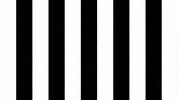 Football Sport GIF by SK Sturm Graz