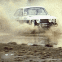 Motorsport Splash GIF by FIA World Rally Championship