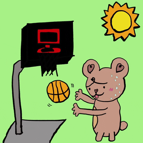 heartycoooool basketball sun bear ball GIF