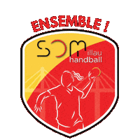 Handballmillau Sticker by Club Handball Séveragais