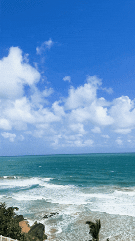 Puerto Rico Summer GIF