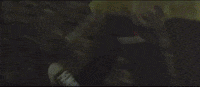 Coinband Coinmusic GIF by COIN