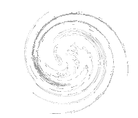 Beer Festival Sticker by My Maitland