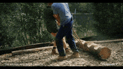 thebridgeau thebridgeau thebridgeaustralia tbau bridgeaustralia GIF