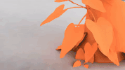 GIF by fragamatista /giselle angeles