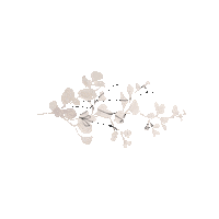 Trace Creek Fine Art Photography Sticker by Trace Creek Manor