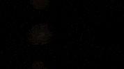 roc nation rihanna GIF