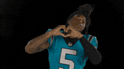 I Love You Football GIF by Carolina Panthers