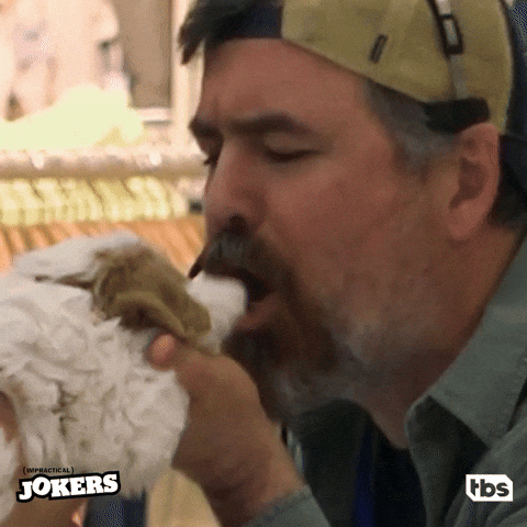 GIF by TBS Impractical Jokers