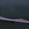 bird box horror GIF by NETFLIX