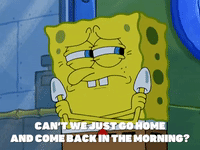 season 8 episode 22 GIF by SpongeBob SquarePants