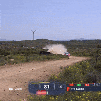 Fast Car Hyundai GIF by FIA World Rally Championship