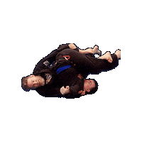 Ufc Grappling Sticker