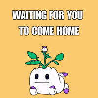 Relaxing Come Back GIF by Magic Eden