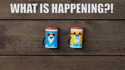BadReichenhaller reaction what wtf confused GIF