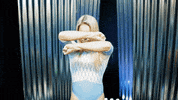 North Carolina GIF by UNC Tar Heels