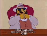 the simpsons episode 24 GIF