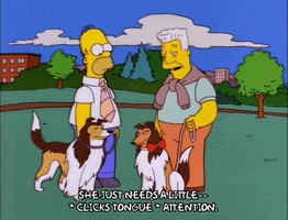 talking homer simpson GIF