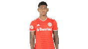 Vamointer Diadeinter Sticker by Sport Club Internacional