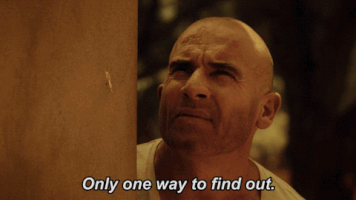 fox GIF by Prison Break