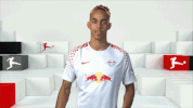 football soccer GIF by Bundesliga