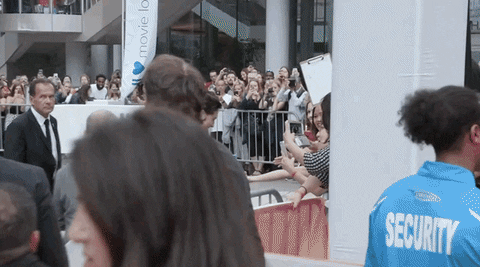 call me by your name tiff18_1 GIF