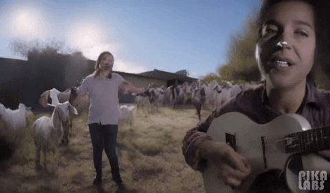 Dance Fun GIF by jorgemariozuleta