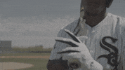 Major League Baseball GIF by MLB