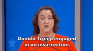 Democratic Primary Trump GIF