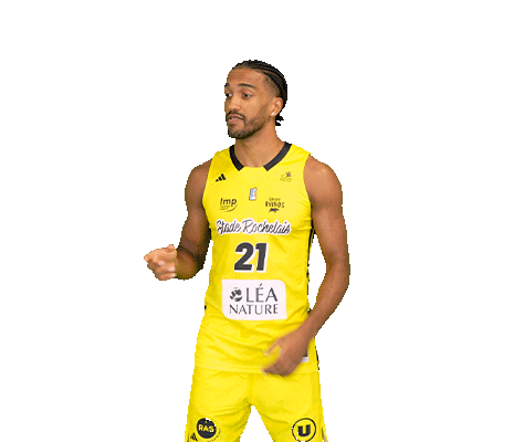 Basketball Basket Sticker by Stade Rochelais