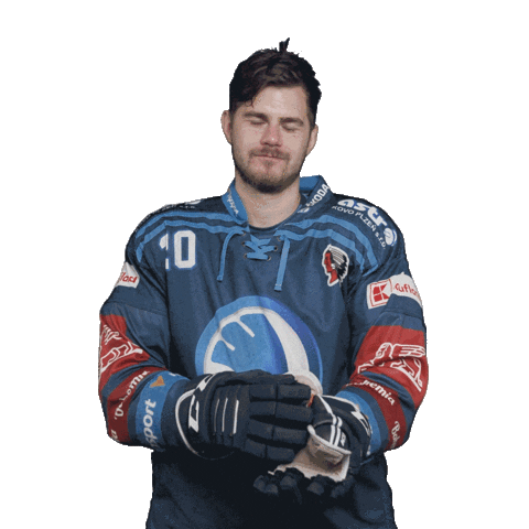 Hockey Applause Sticker by HC Škoda Plzeň