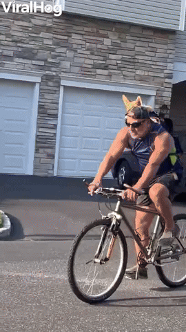 Corgi Goes for Bike Ride