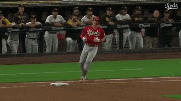 Baseball Mlb GIF by Cincinnati Reds
