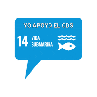 Mar United Nations Sticker by ONU Venezuela