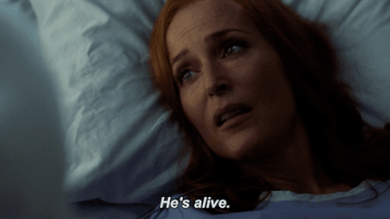 scully mulder GIF by The X-Files