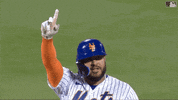 Excited Ny Mets GIF by New York Mets