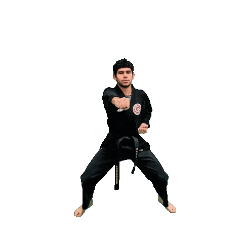 Karate Taekwondo Sticker by Team GMA