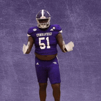 Football Wesleyan GIF by KWC Panthers