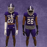 Football Wesleyan GIF by KWC Panthers