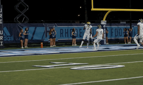 Celebrate College Sports GIF by Delaware Blue Hens