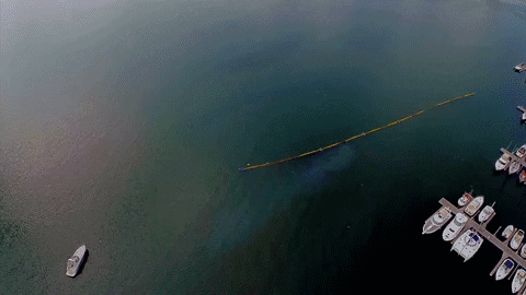 unescobrasil giphyupload GIF