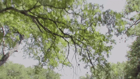 Hot Rod Bike GIF by Dayglow