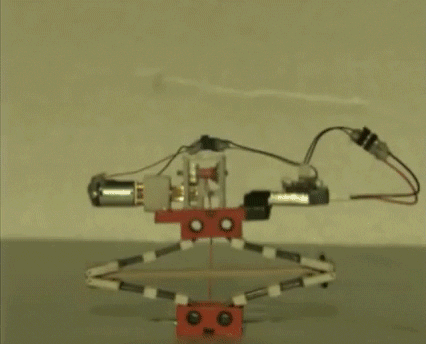 uc berkeley jump GIF by University of California