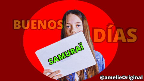 Samurai GIF by amelie