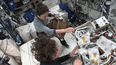 Space Astronaut GIF by NASA