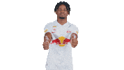 Football Driving Sticker by FC Red Bull Salzburg