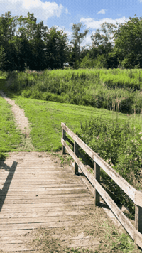 Travel City GIF