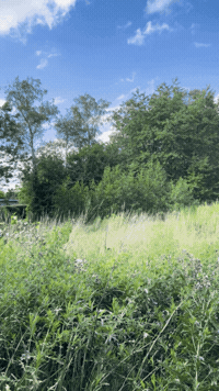 Denmark Copenhagen GIF