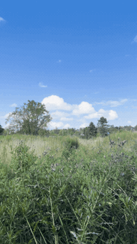 Travel City GIF