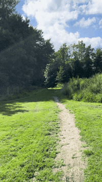 Travel City GIF